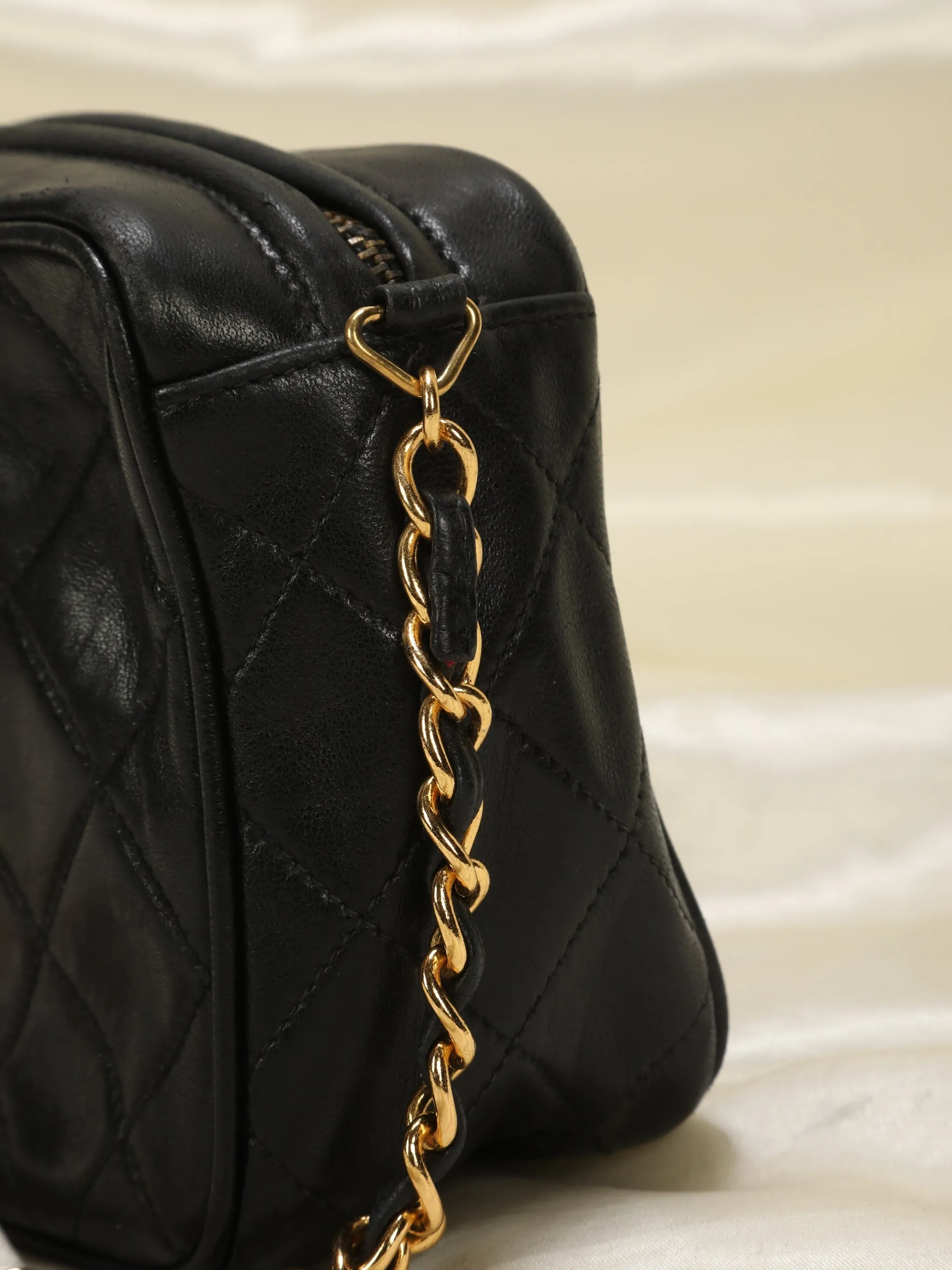 CL Timeless Lambskin Camera Bag