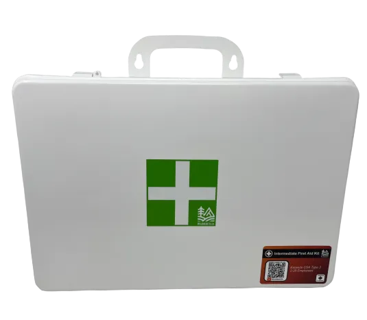 Intermediate First Aid Kit, Type 3: Designed to exceed CSA Standard (Z1220-17)