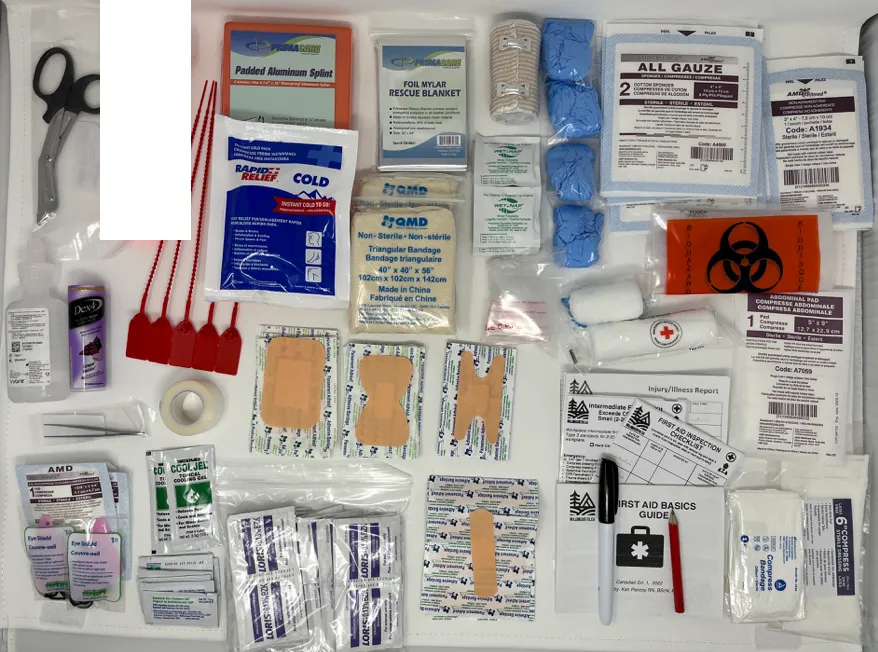 Intermediate First Aid Kit, Type 3: Designed to exceed CSA Standard (Z1220-17)