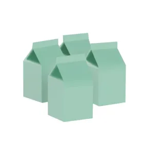 Milk Box/Party Favour Box Classic Pastel Mint - Pack of 10