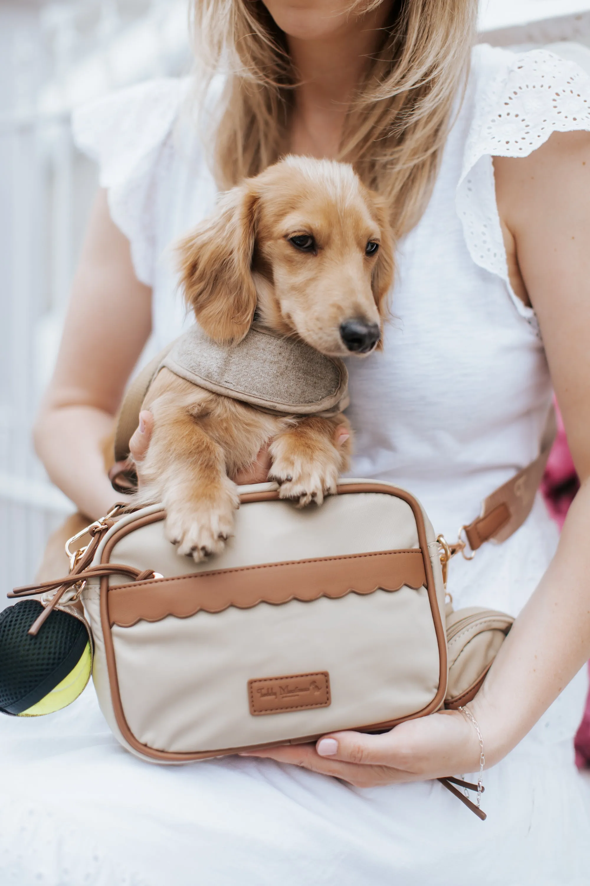 NEW! 'The Richmond' Taupe Luxury Dog Walking Bag