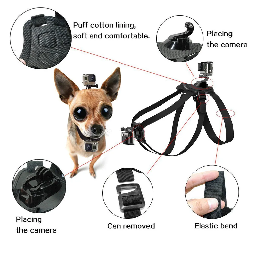 Pro Camera Mount Dog Harness