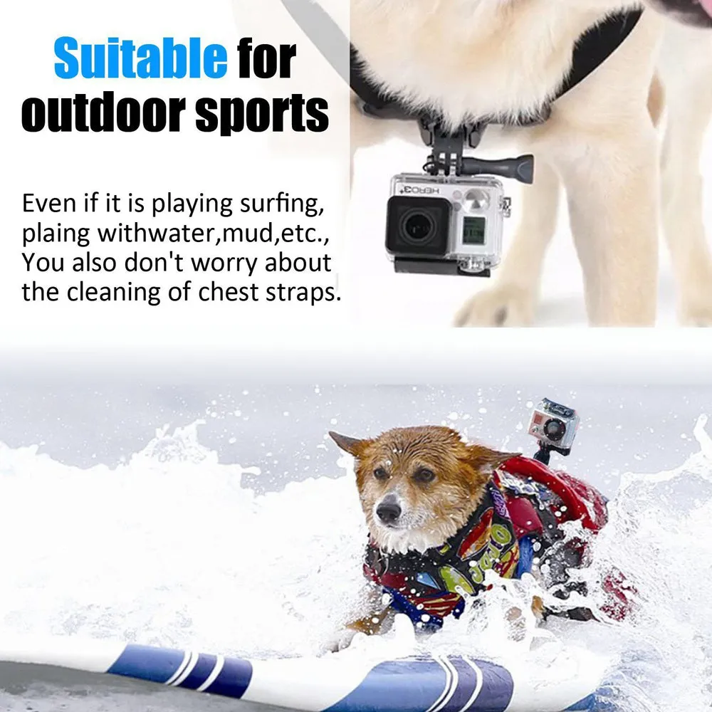 Pro Camera Mount Dog Harness