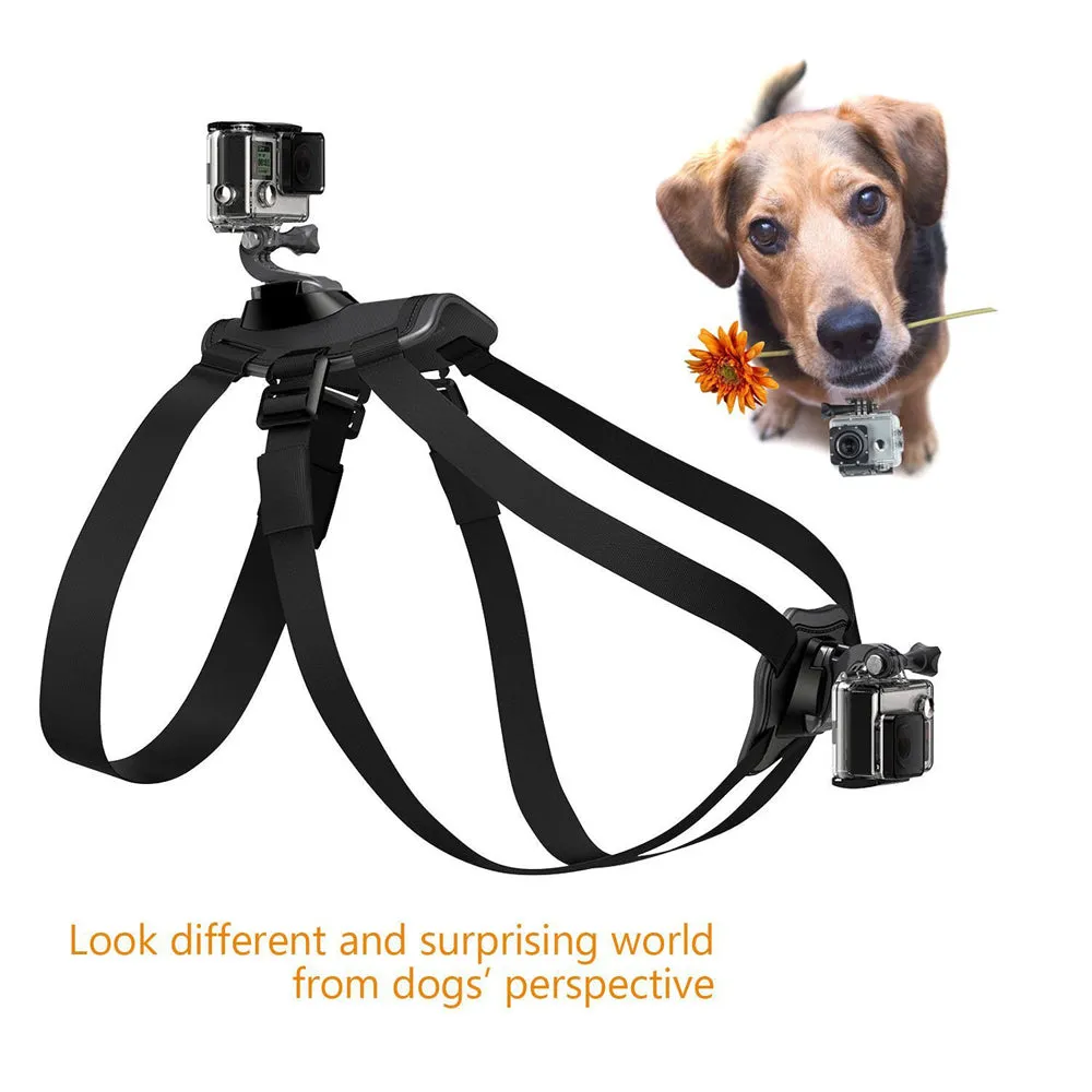 Pro Camera Mount Dog Harness