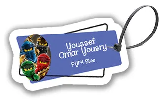 ""Ninjago" School labels packs