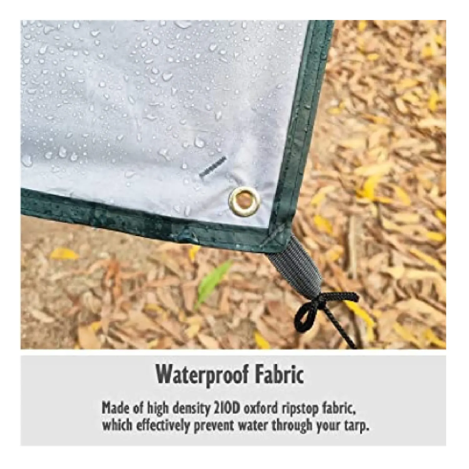 Rottay Waterproof Tarp for Camping | Lightweight Sunshade Hammock for Rain