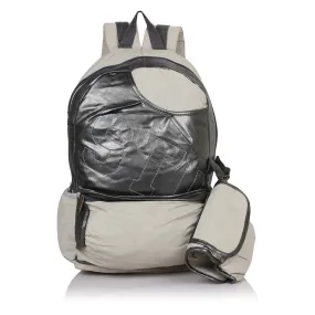 Suntop A54 22 L Backpack(Cream and Silver)