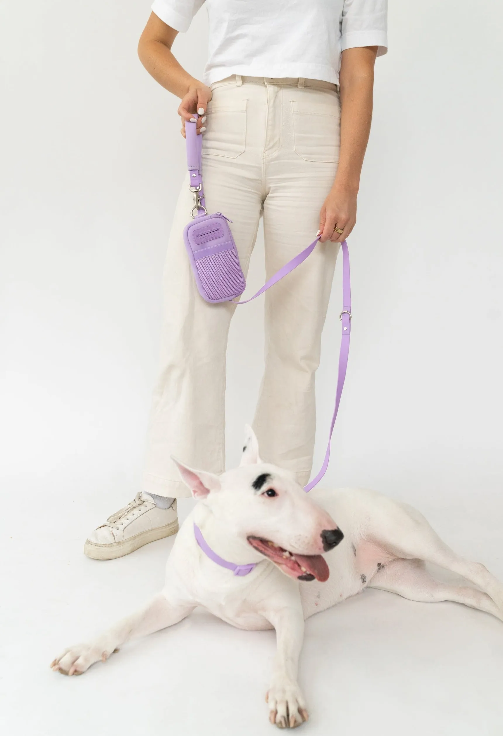 Walk Bag   Leash by Springer